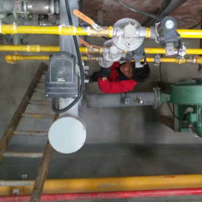 CE Certified Galvanizing Furnace System with Dual-Zone Thermal Regulation and Heat Recovery for Zinc Tank Line